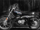 Harley-Davidson Aermacchi / Harley Davidson SX 175